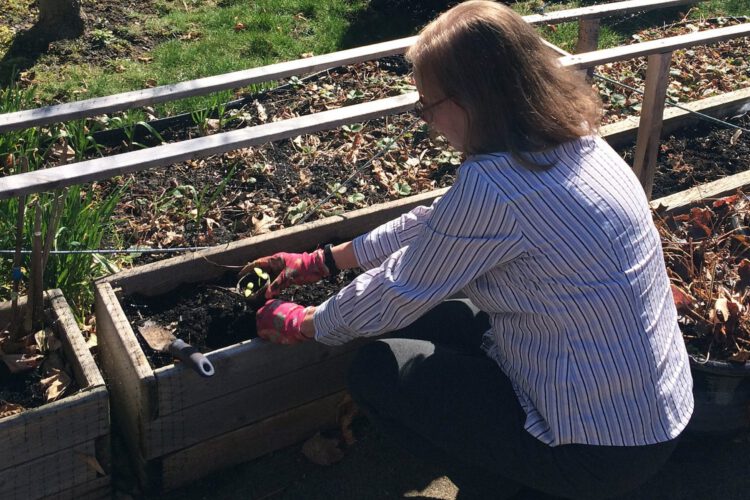 A woman crouches infront of a gardening trough, planting some crops.